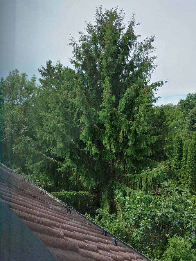 Bed and Breakfast Diana Panzio Matrafured Exterior foto
