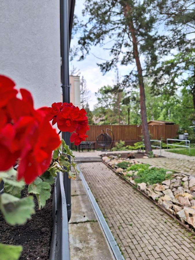 Bed and Breakfast Diana Panzio Matrafured Exterior foto